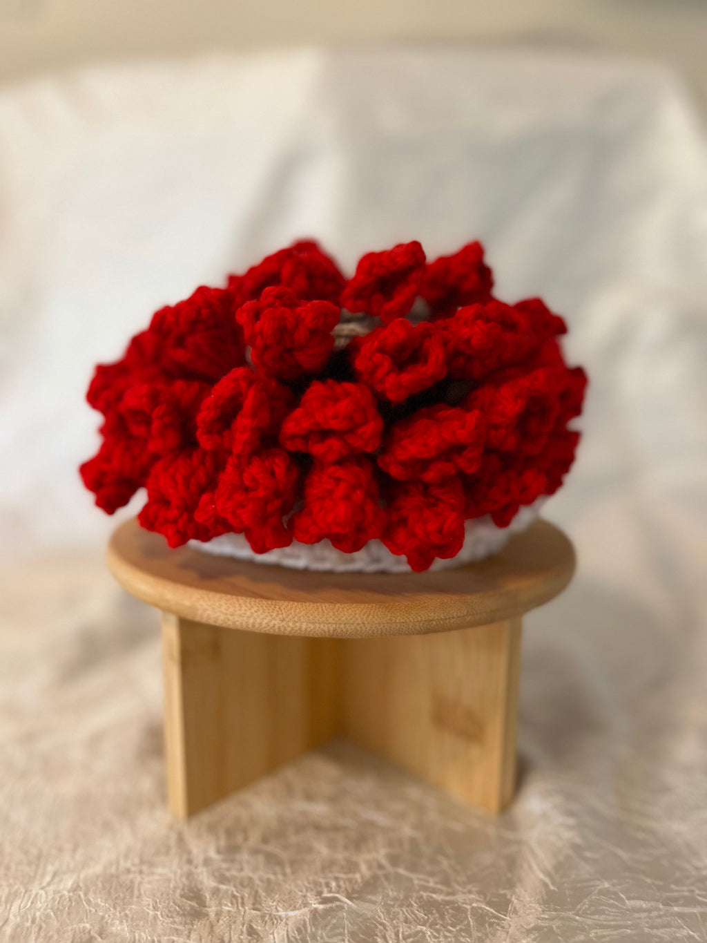 Crocheted Flower Pot Coaster Set